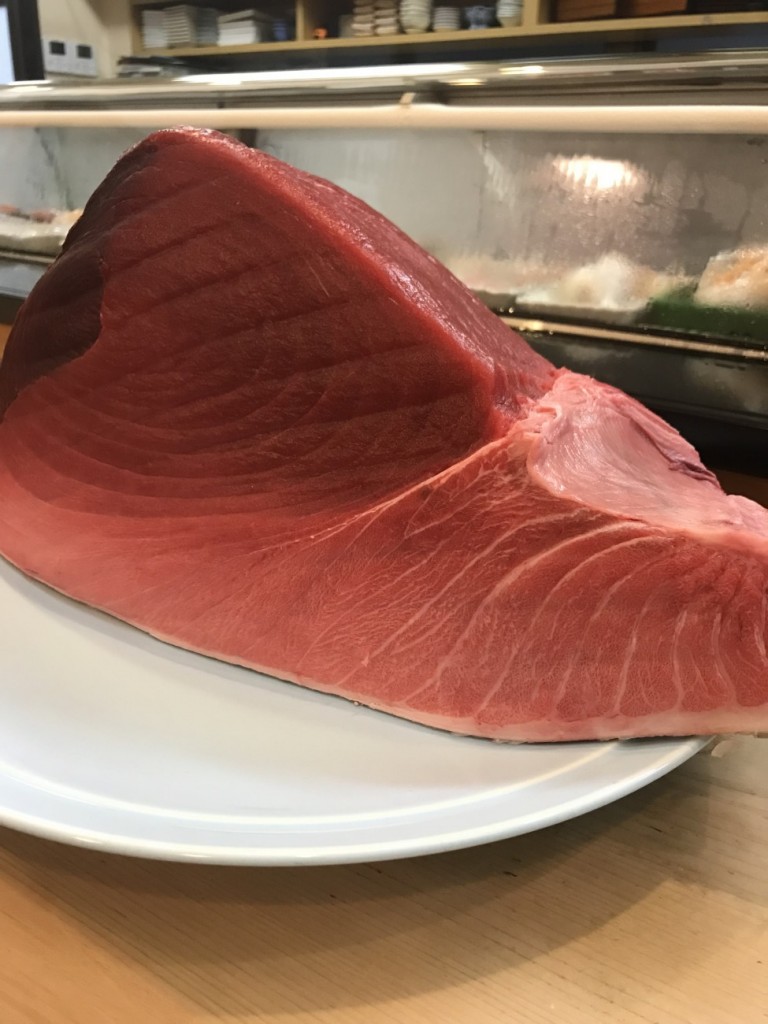 大間の生本マグロ入荷です